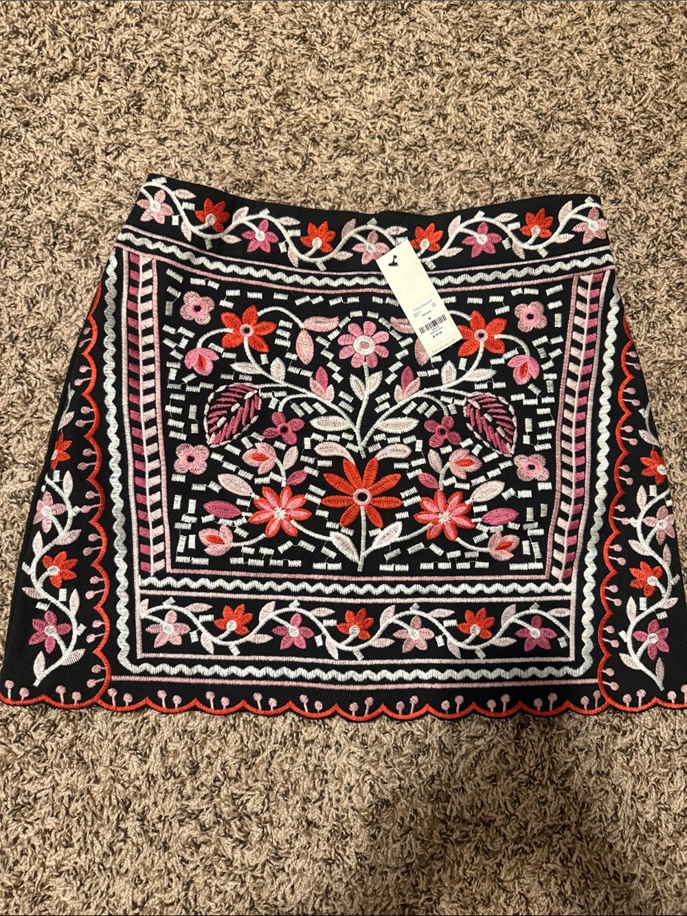 Francesca's Collections Black Mini Skirt with Pink & Red Floral Embroidery